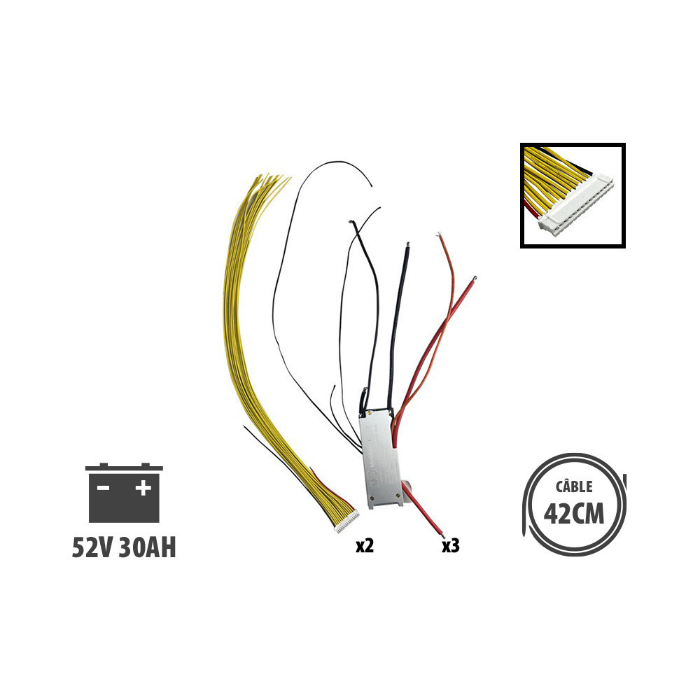 Bms Dualtron Mini 52V 30A V2(Aminia Special, Mini Long Body Single Motor)