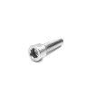 Dualtron Mini rear wheel BTR screws (x100 pcs)