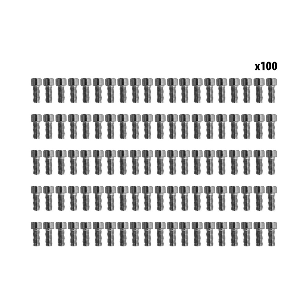 Schrauben für Dualtron Schutzbleche x100 St