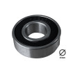 Bearings 6202 2RS