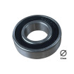 6004 2RS bearings