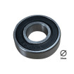 6001 2RS bearings